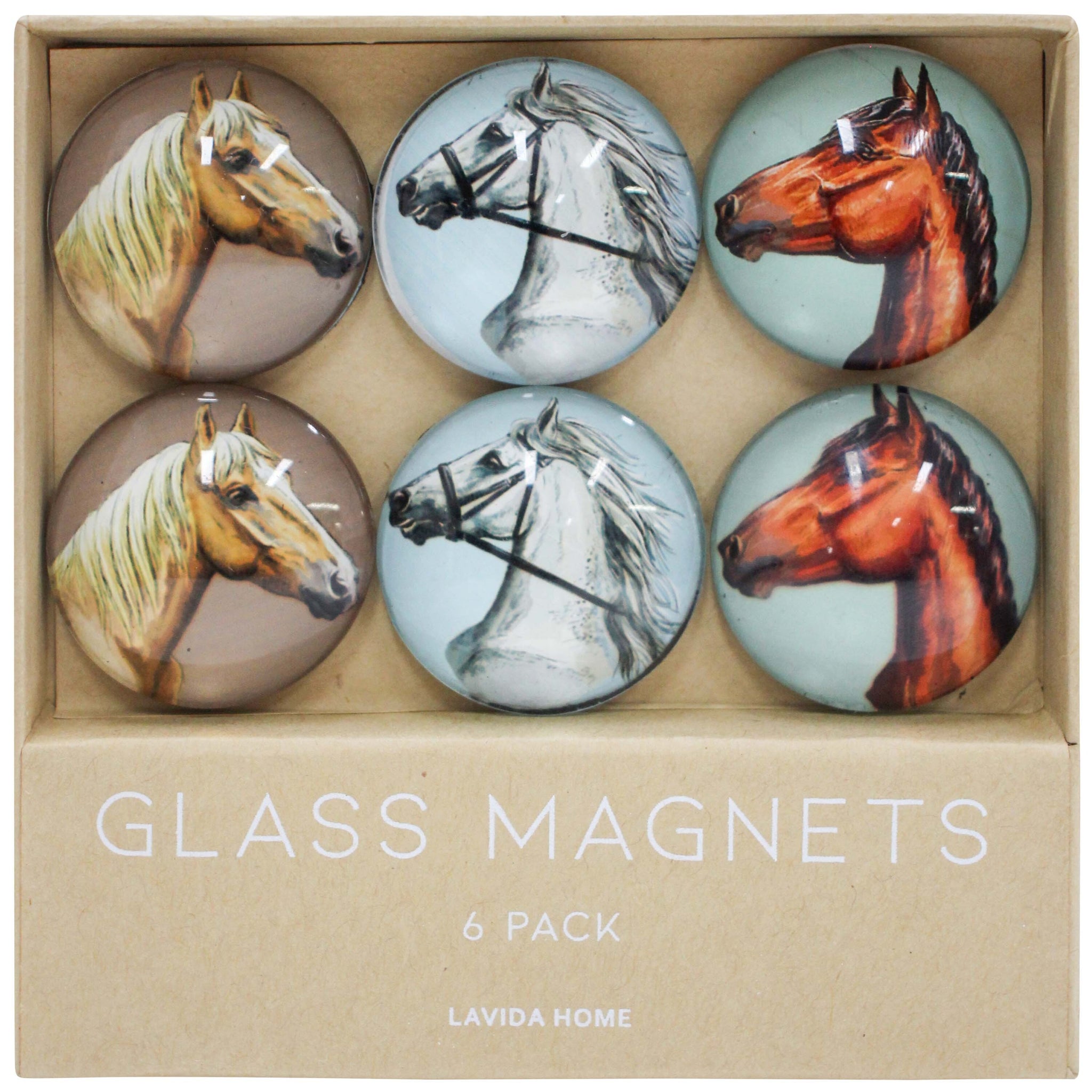 Equestrian Dreams Horse Glass Magnets