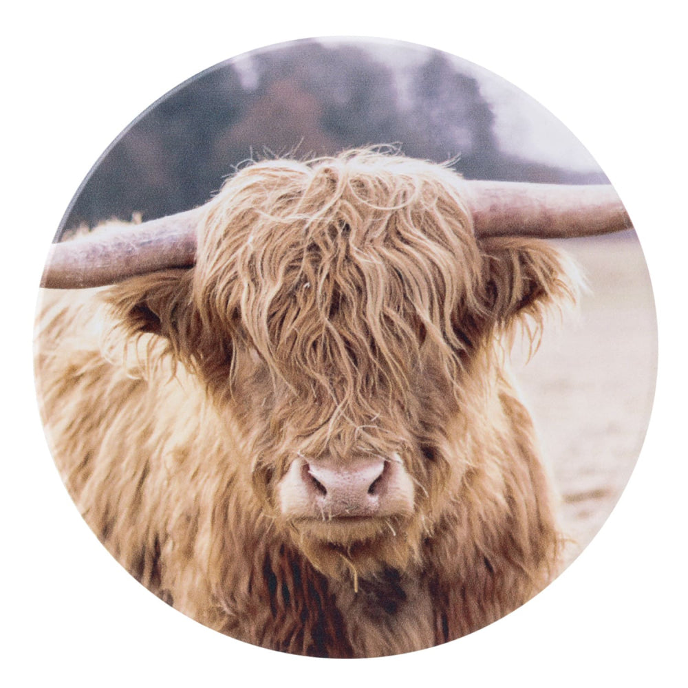 ‘Fergus' Highland Cow Coaster Set