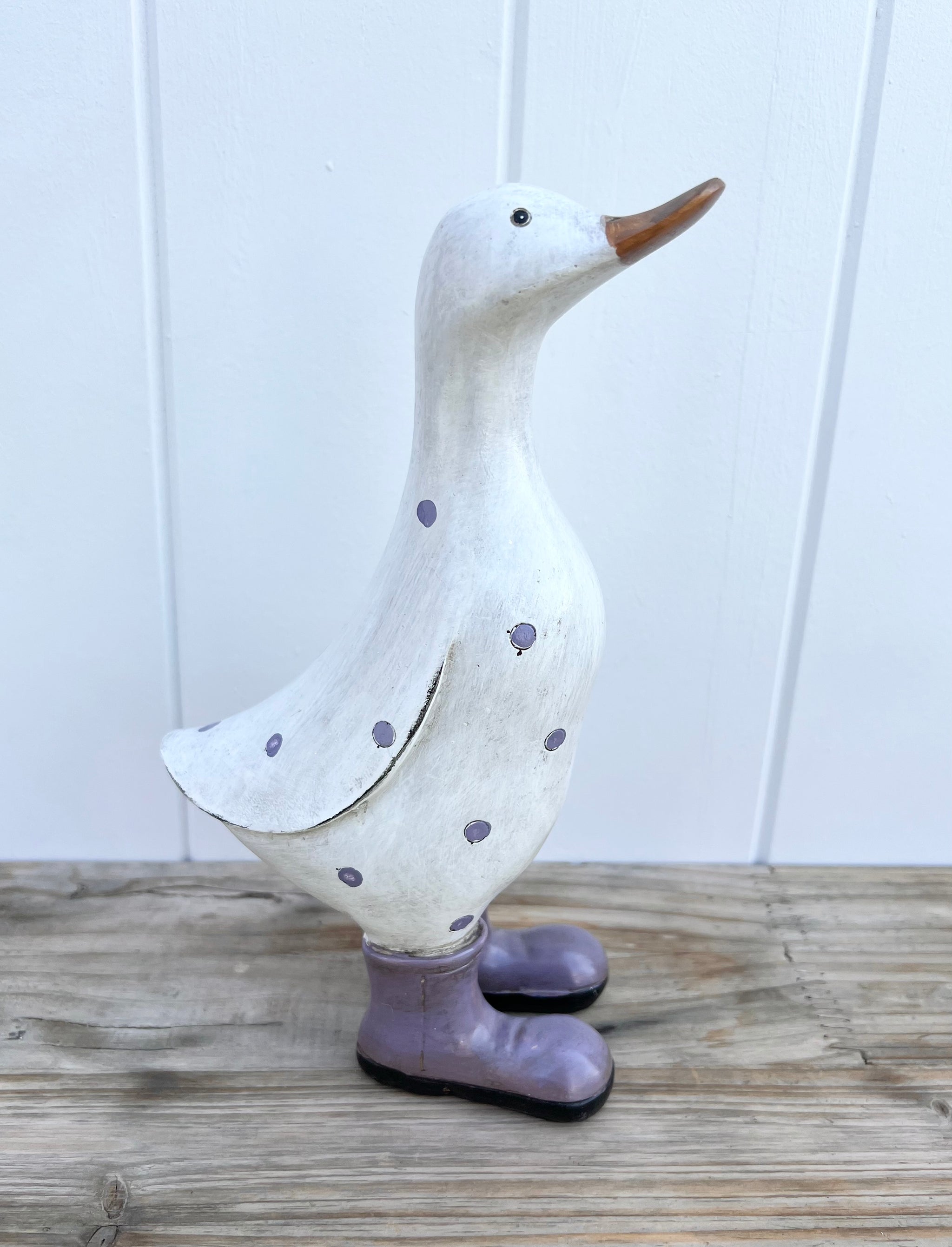 Duck in Aubergine Boots
