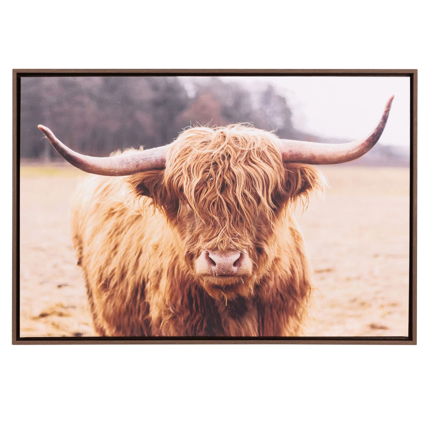 Fergus The Highland Floating Framed Canvas