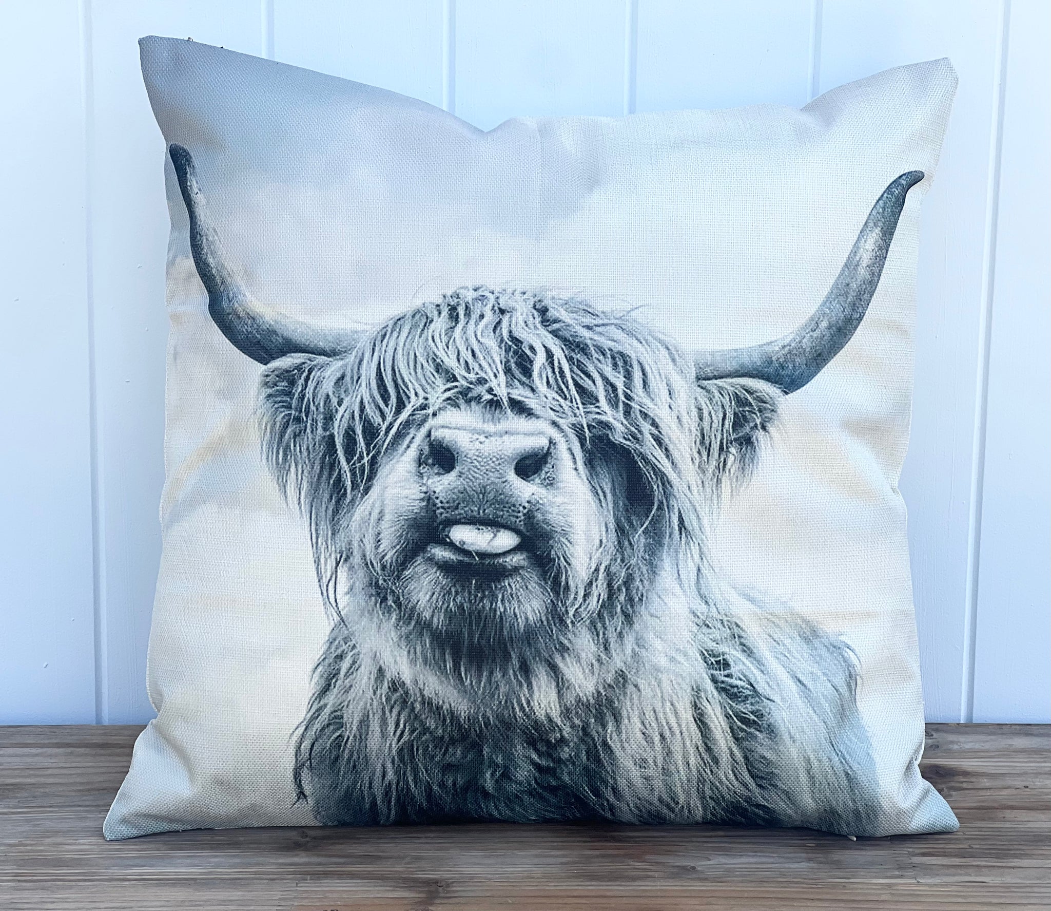 ‘Hank The Highland’ Cushion