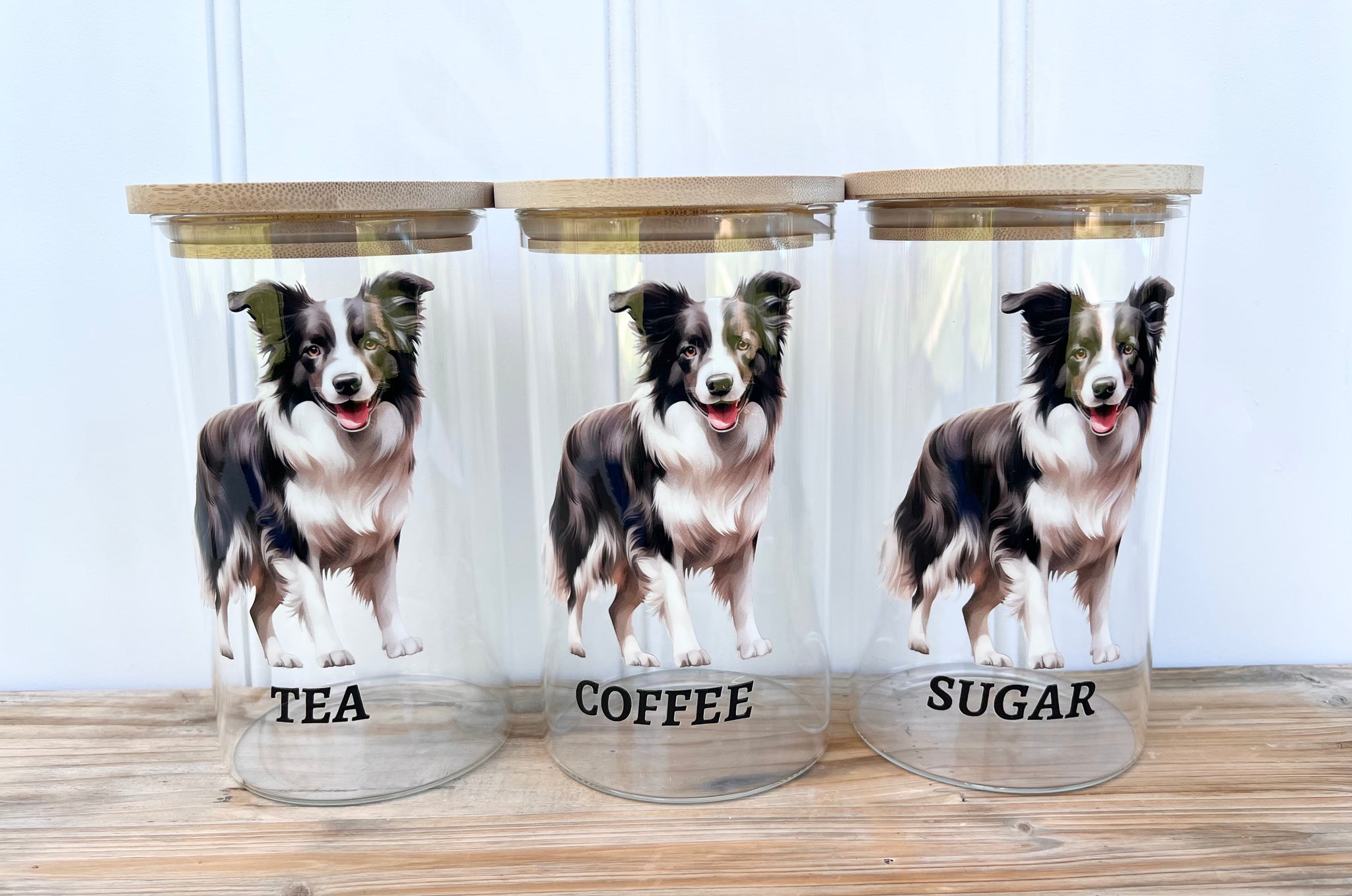 ***PRE-ORDER*** Border Collie Canisters