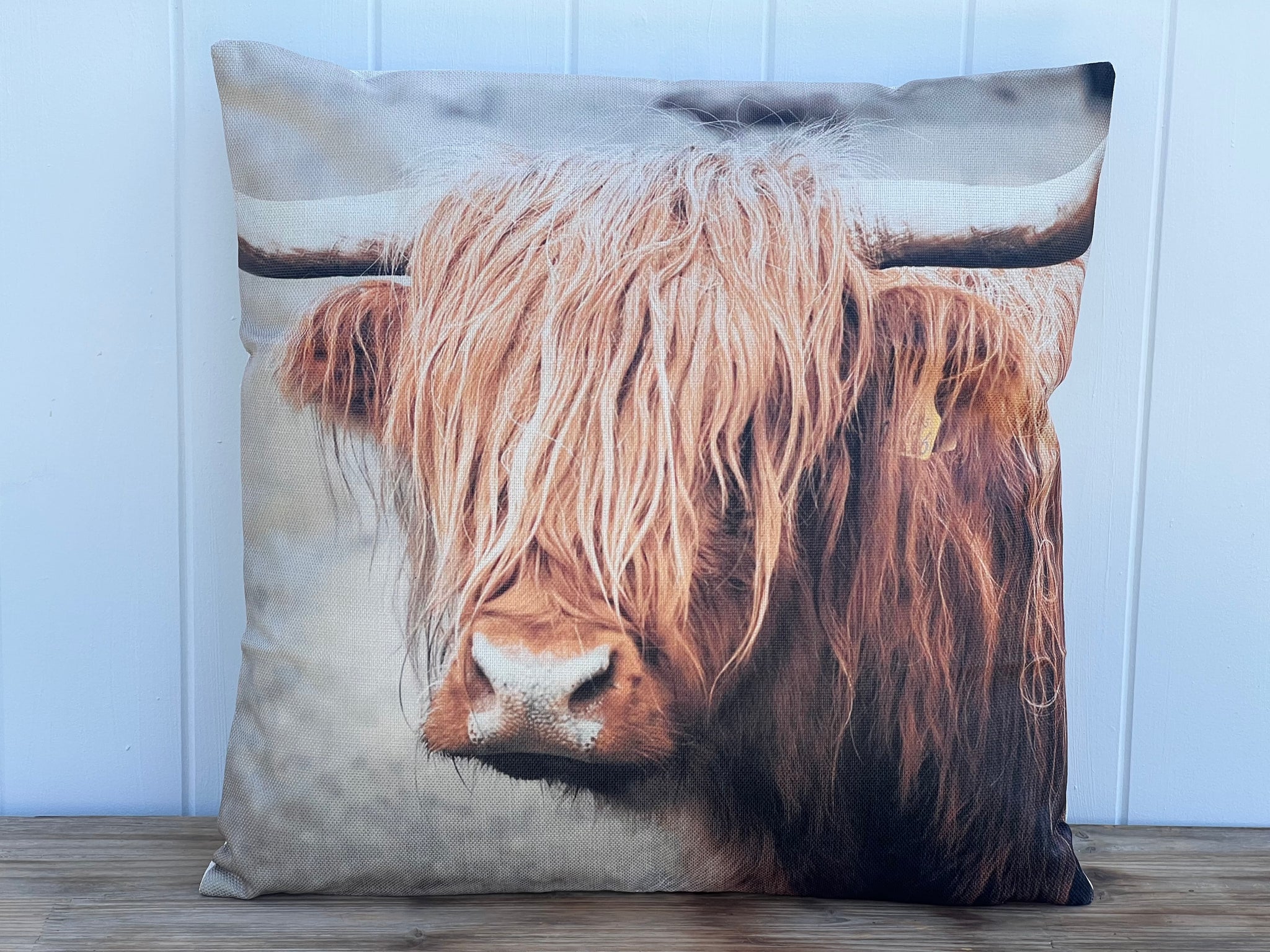 ‘Harry The Highland’ Cushion