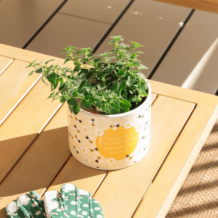 ‘ The World is a Brighter Place’ Ceramic Planter