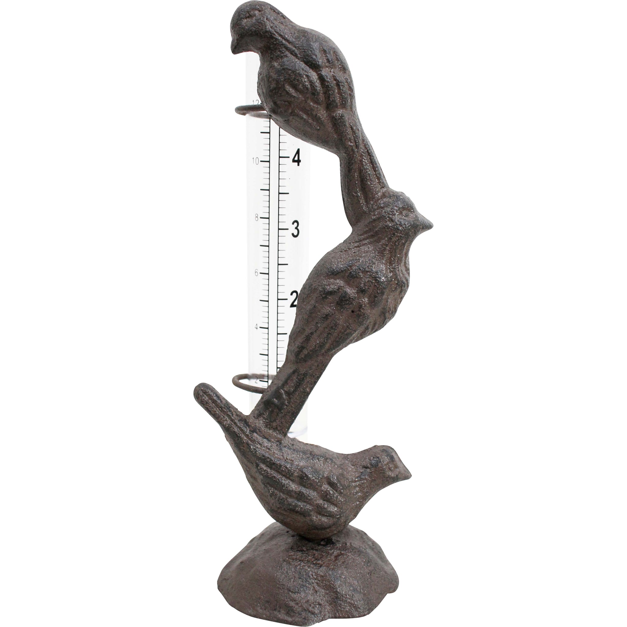 Bird Rain Gauge