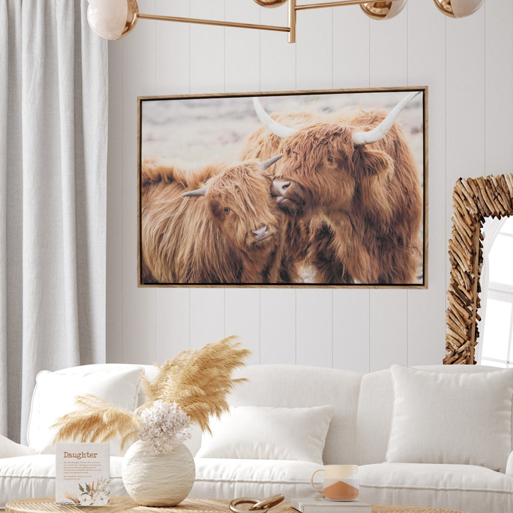 ‘Highland Kisses’ Framed Canvas Print