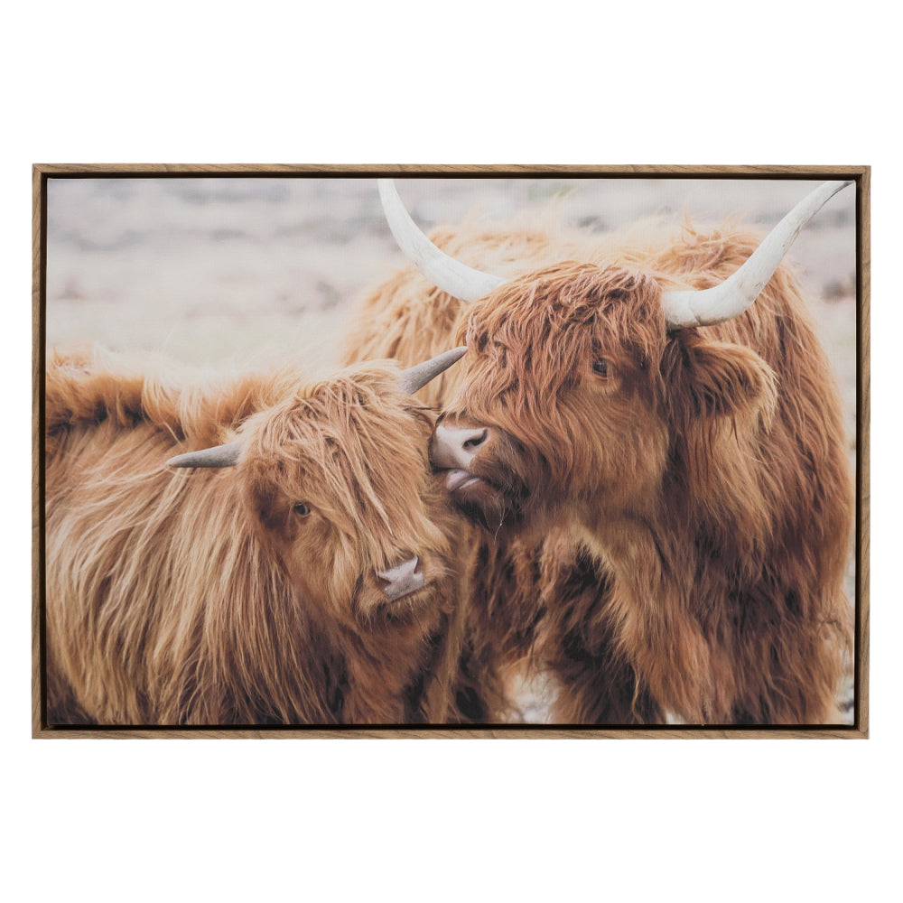 ‘Highland Kisses’ Framed Canvas Print