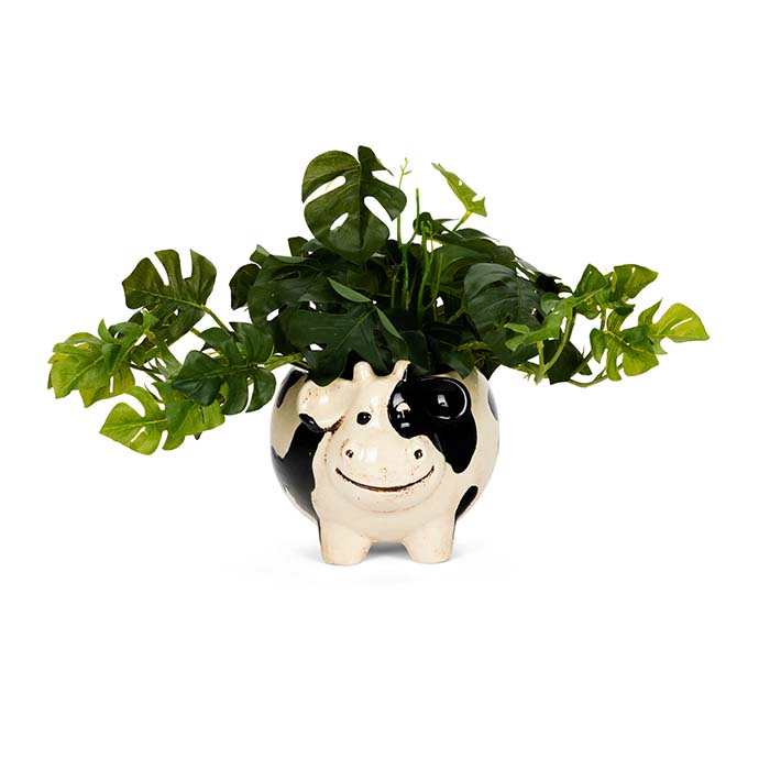 Cow Planter