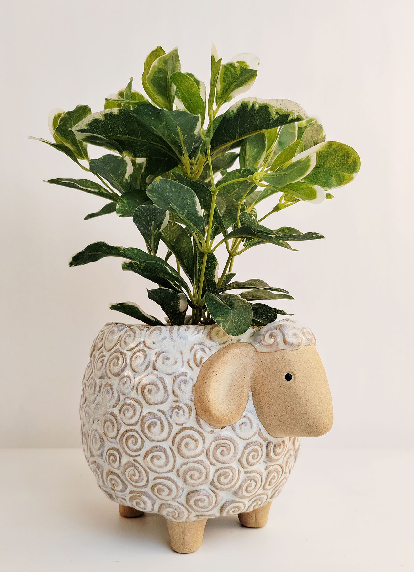 Sheep Planter