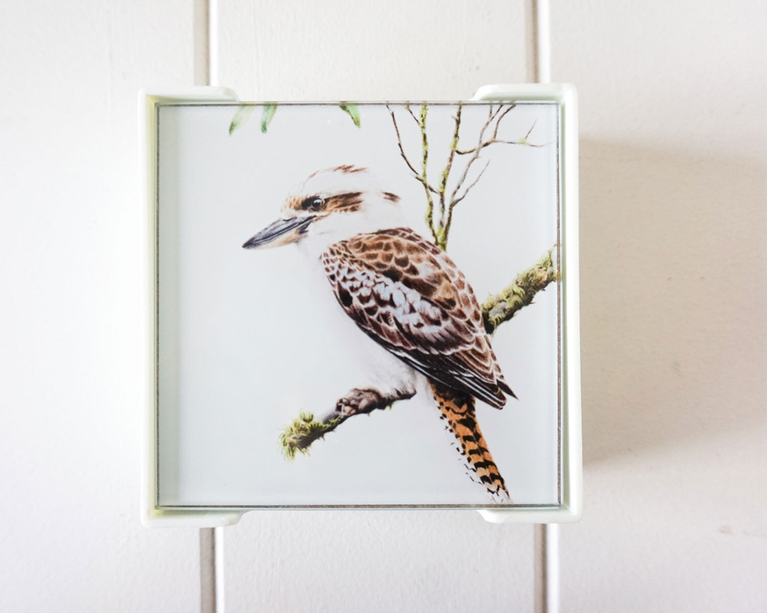 Kookaburra Coasters