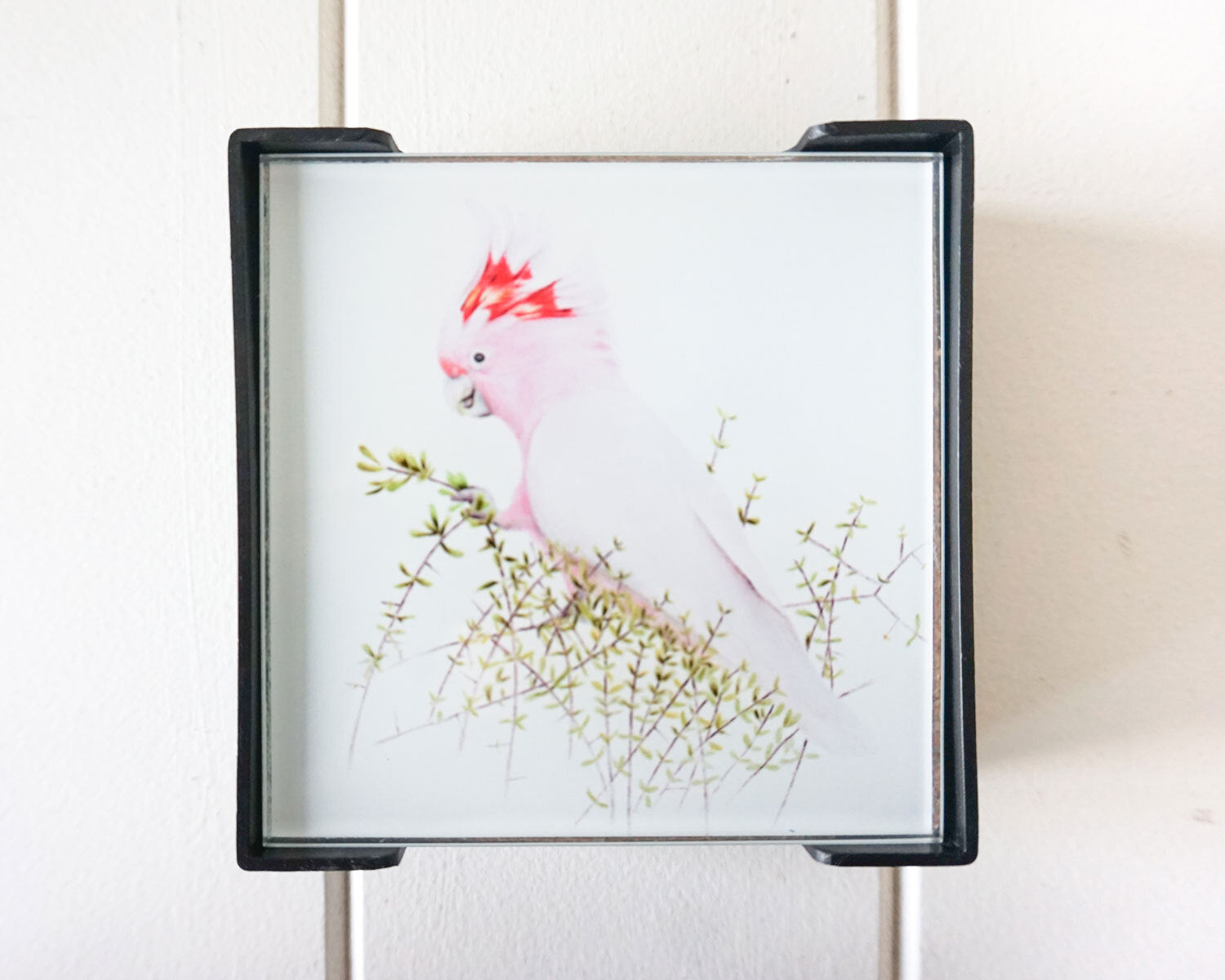 Major Mitchell Cockatoo Coasters