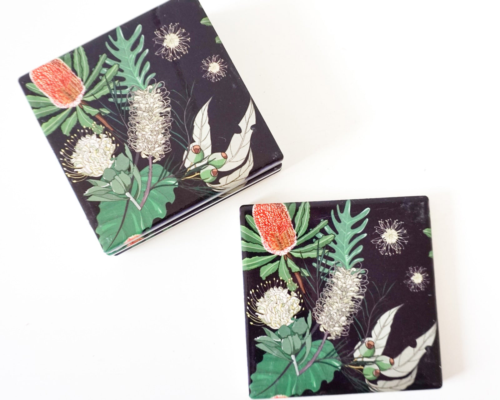 Midnight Natives Coasters