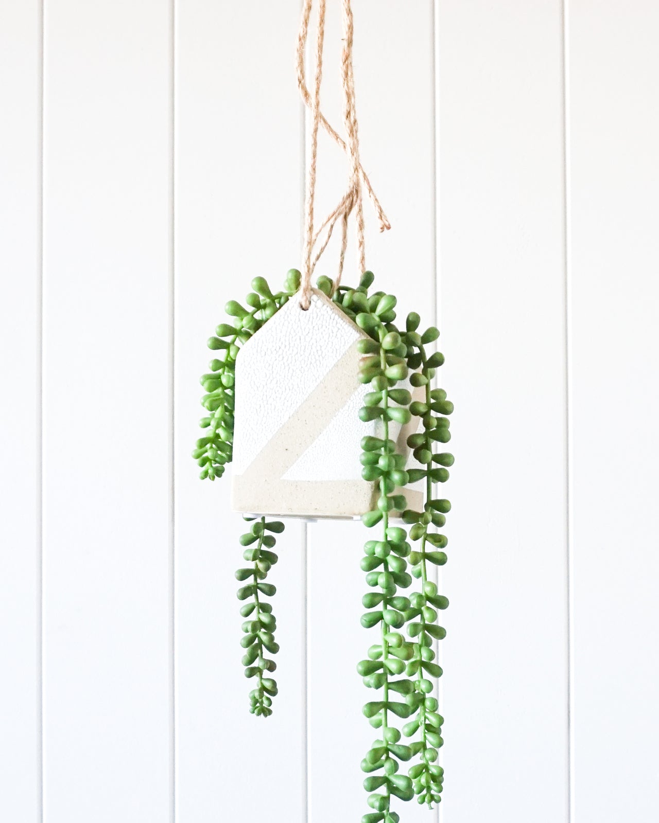Hanging House Planter