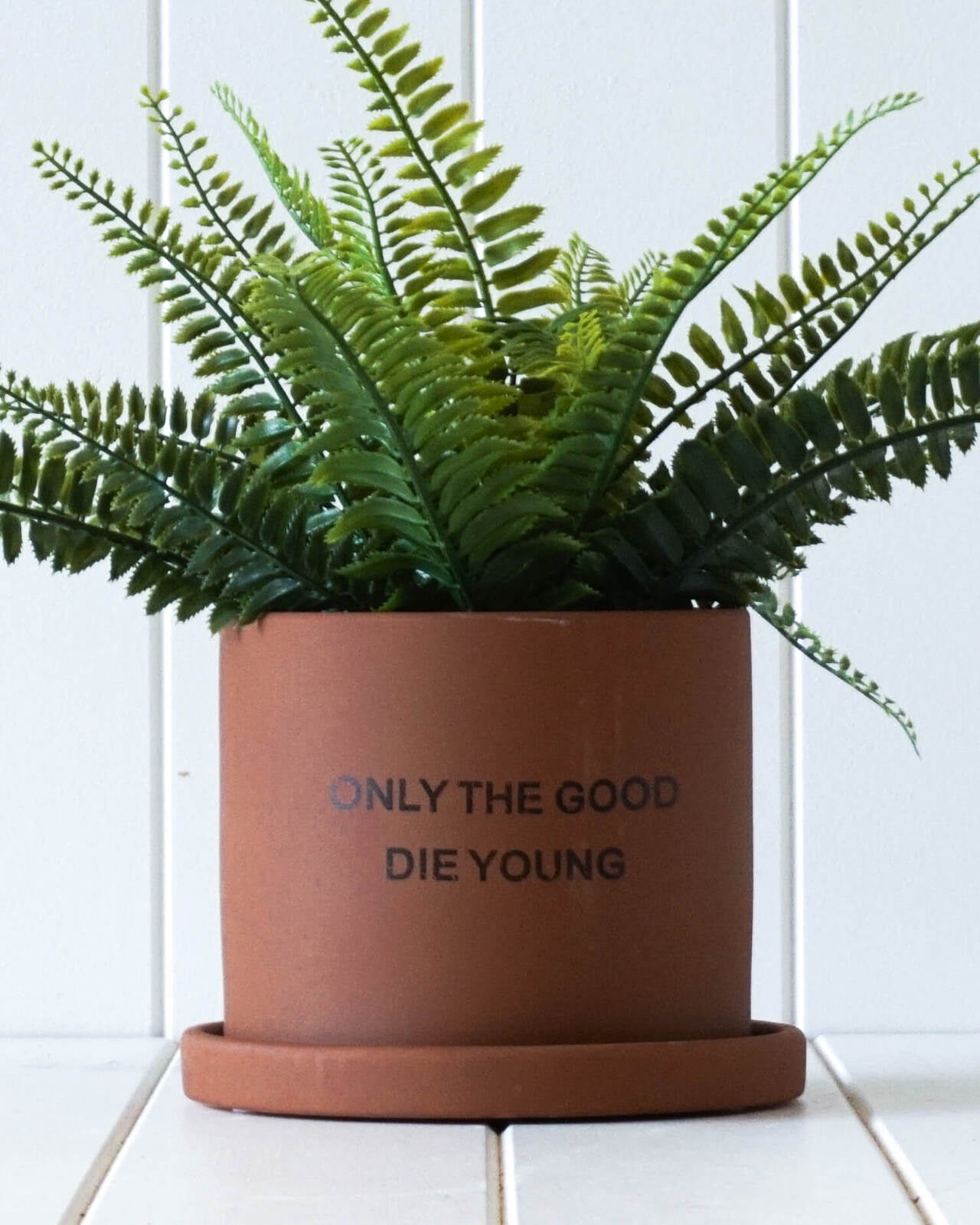 ‘Only the Good Die Young’ Terracotta Planter