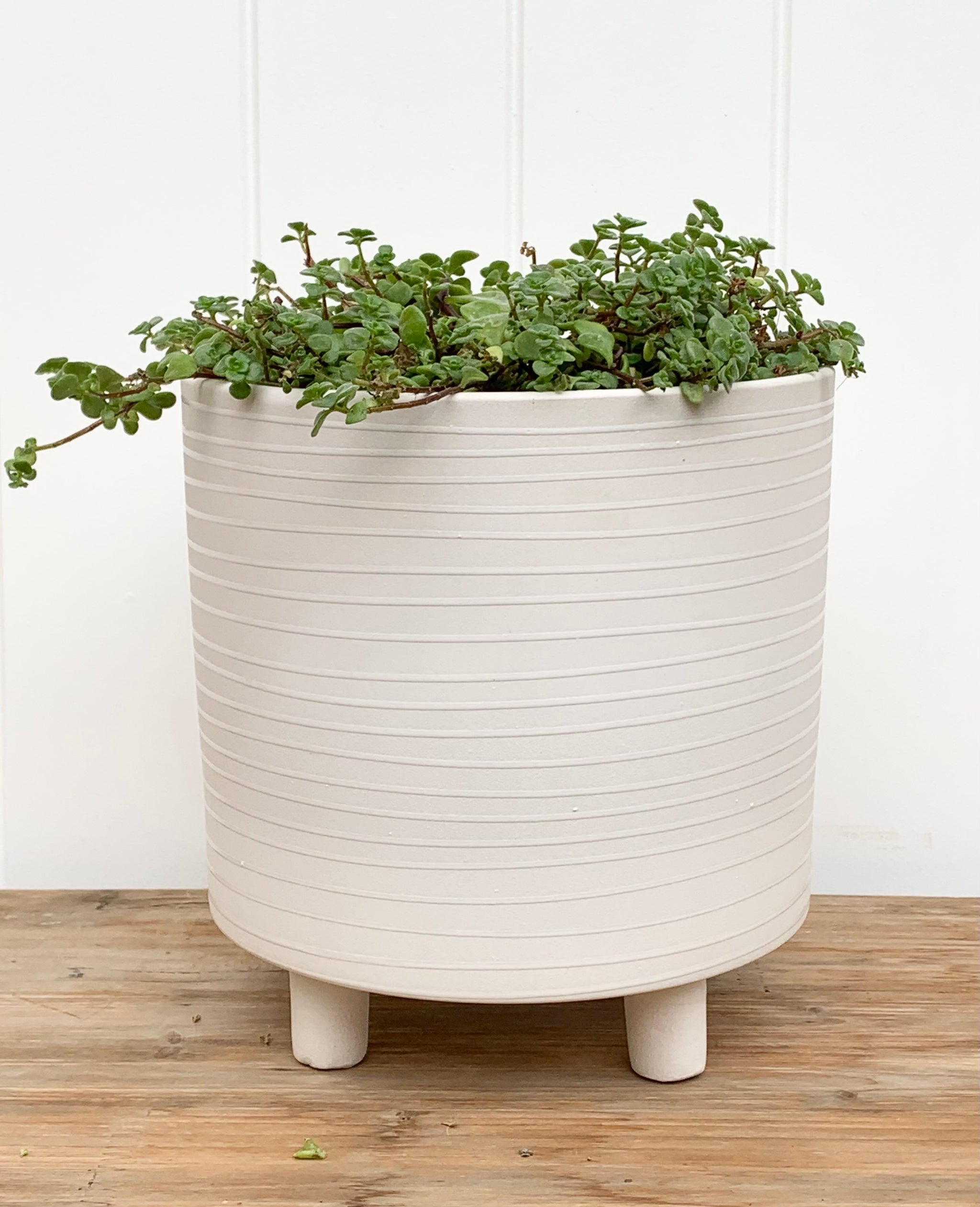 White Stripe Footed Planter
