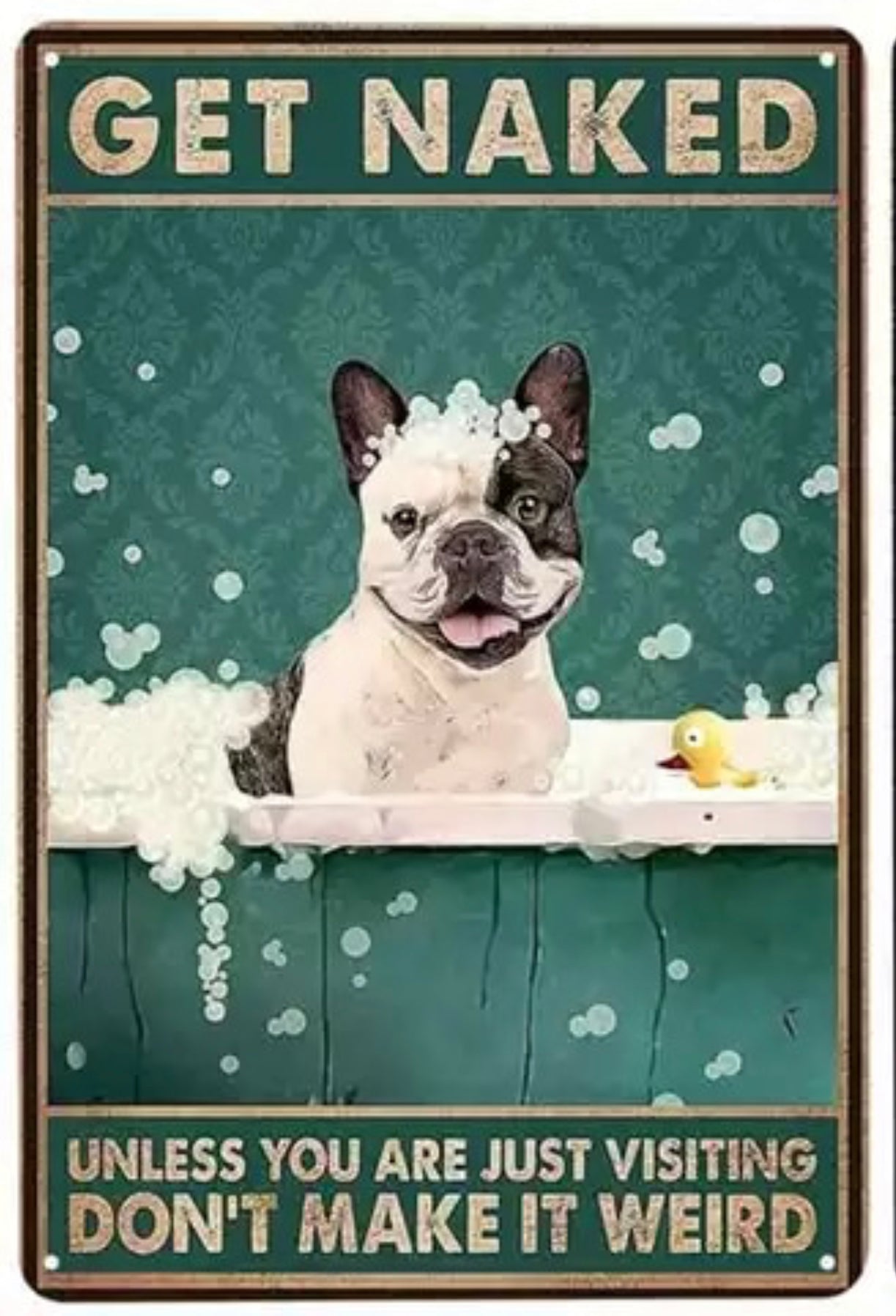 Get Naked Dog - Tin Sign