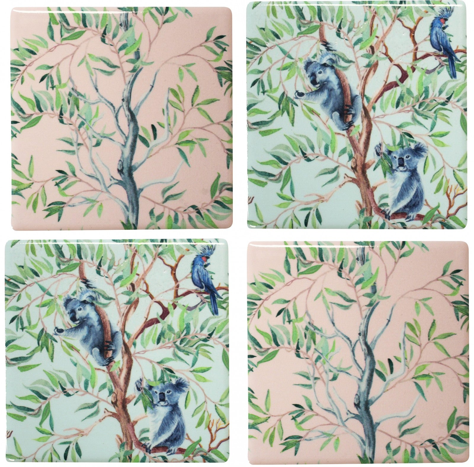 Eucalyptus Living Koala Coasters