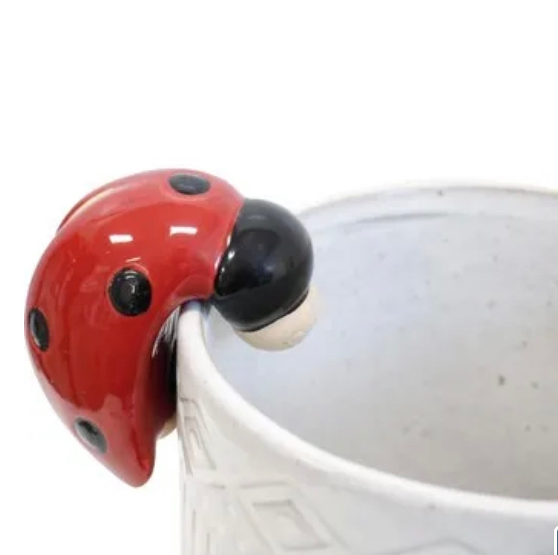 Ladybird Pot Sitter