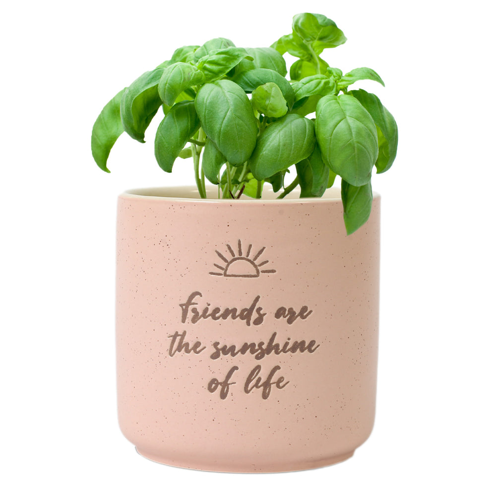‘Friends’ Positive Pot