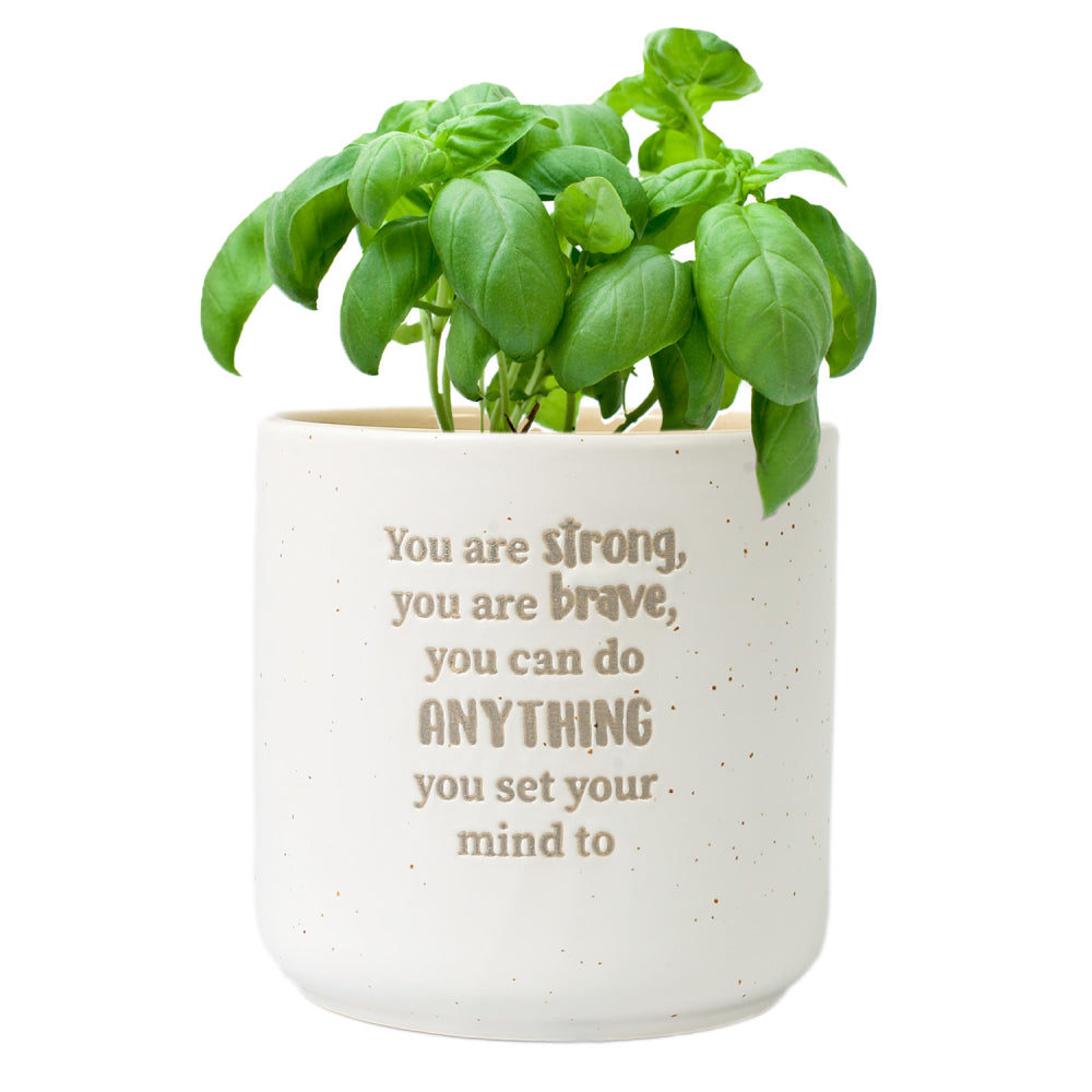 ‘Strong’ Positive Pot