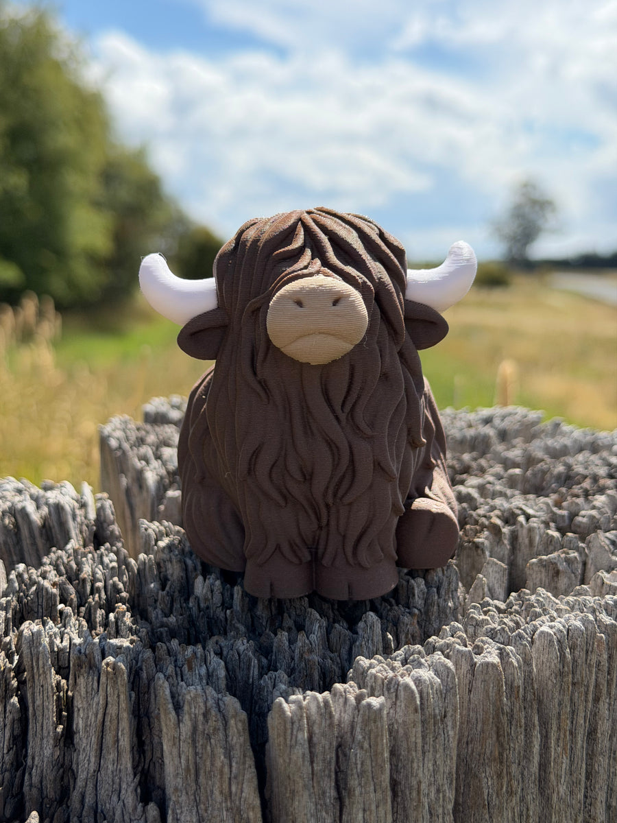 ‘Mackenzie’ the Highland