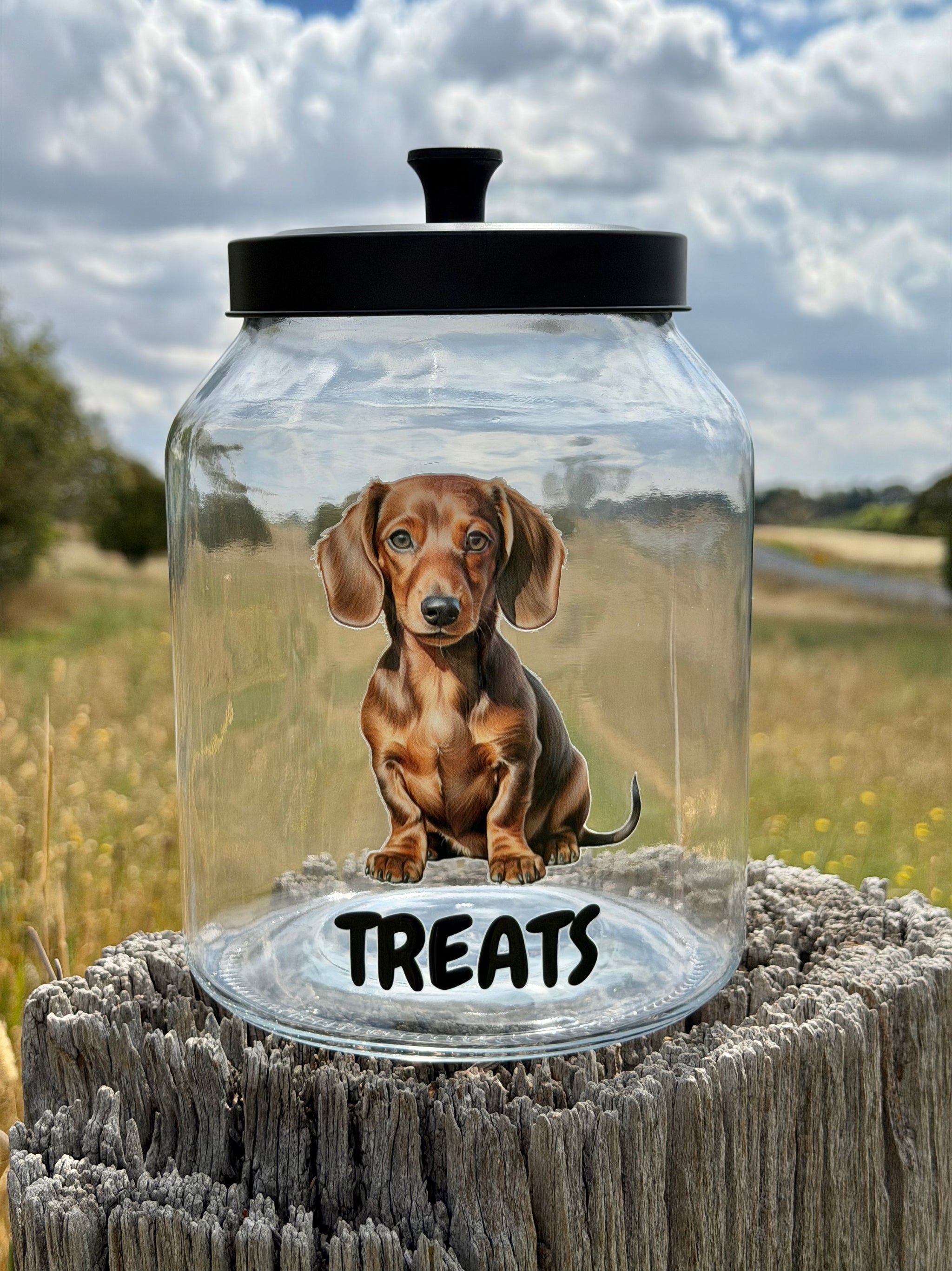 Dachshund Treat Jar