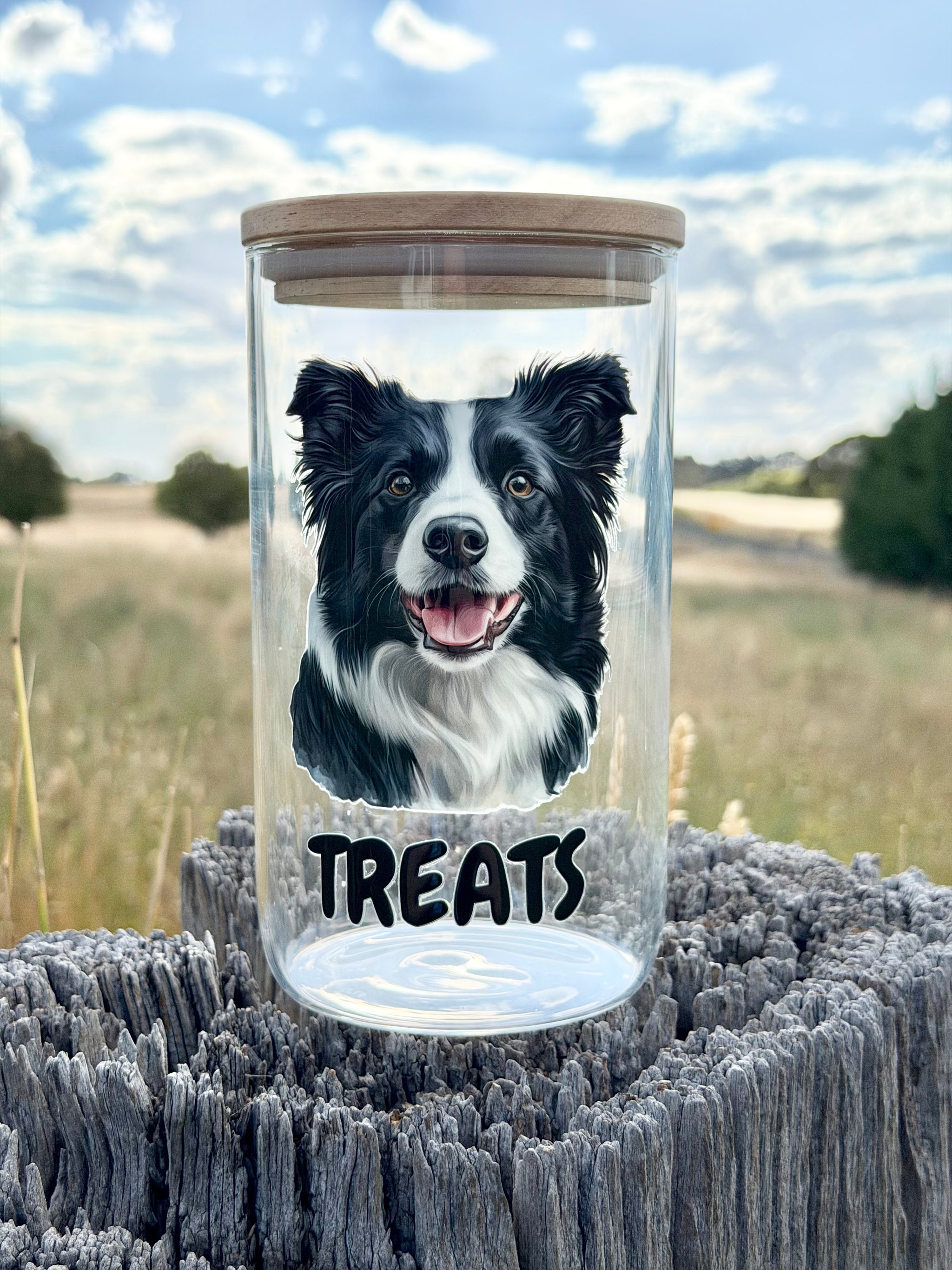 Border Collie Treat Jar