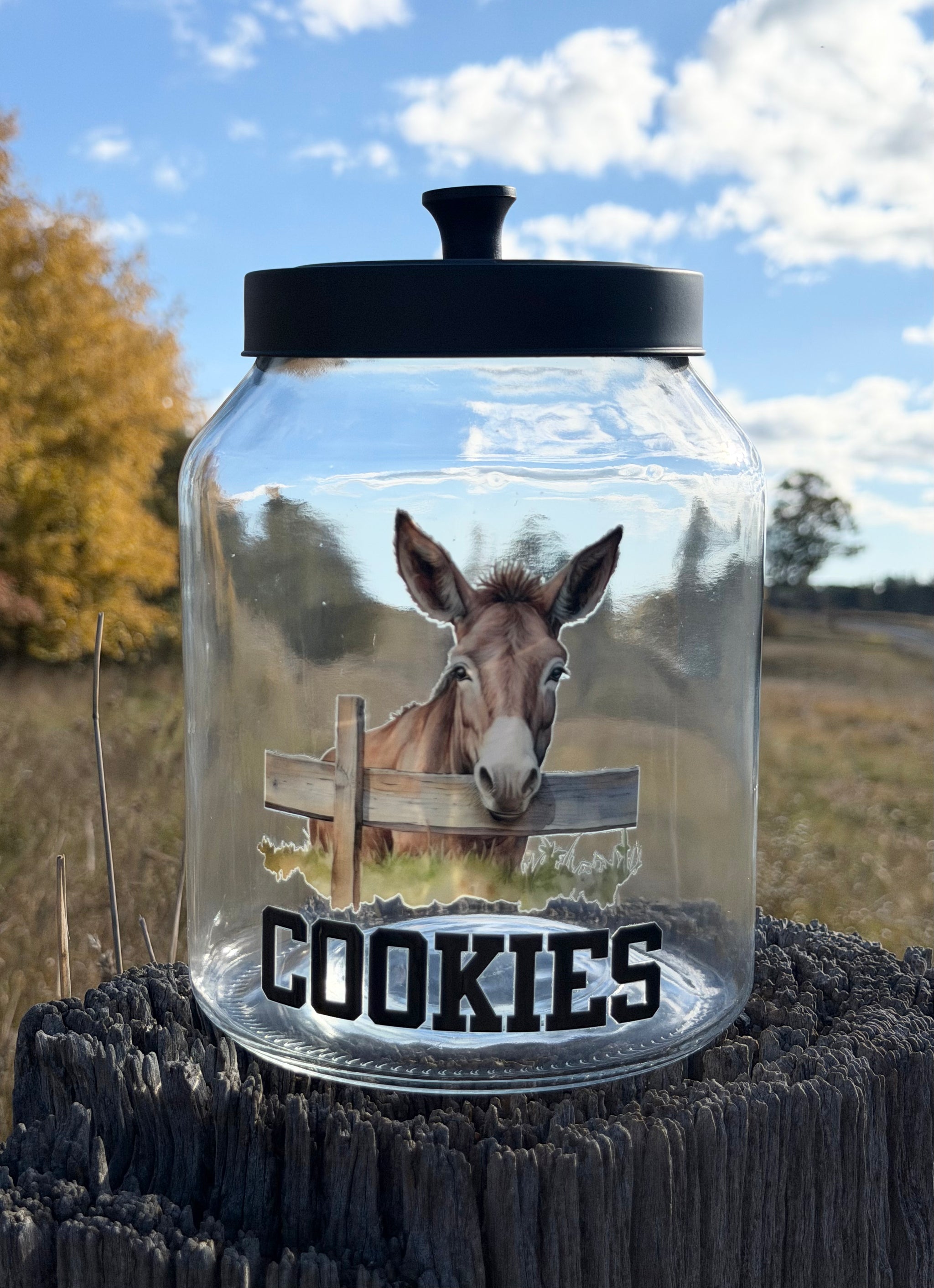 Donkey Cookie Jar