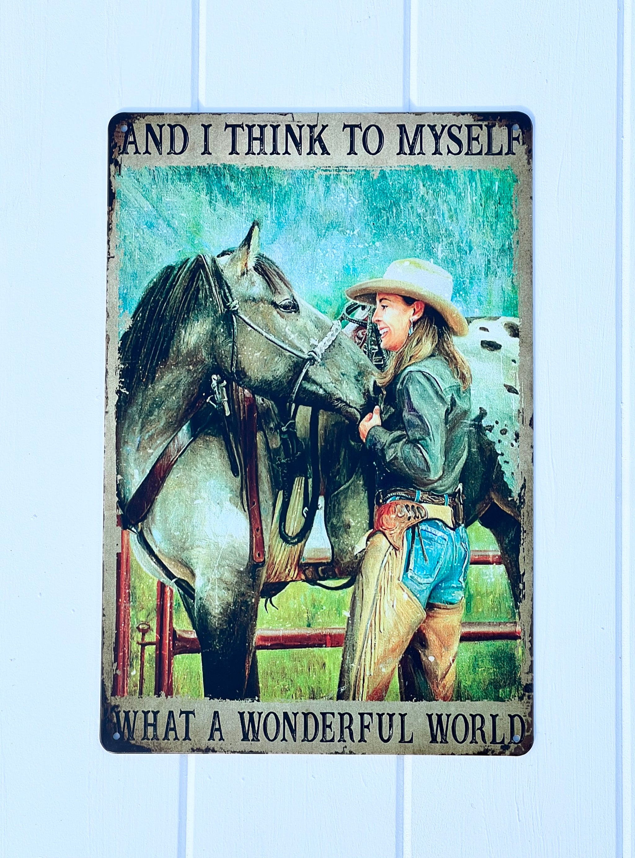 ‘What A Wonderful World’ Western Tin Sign