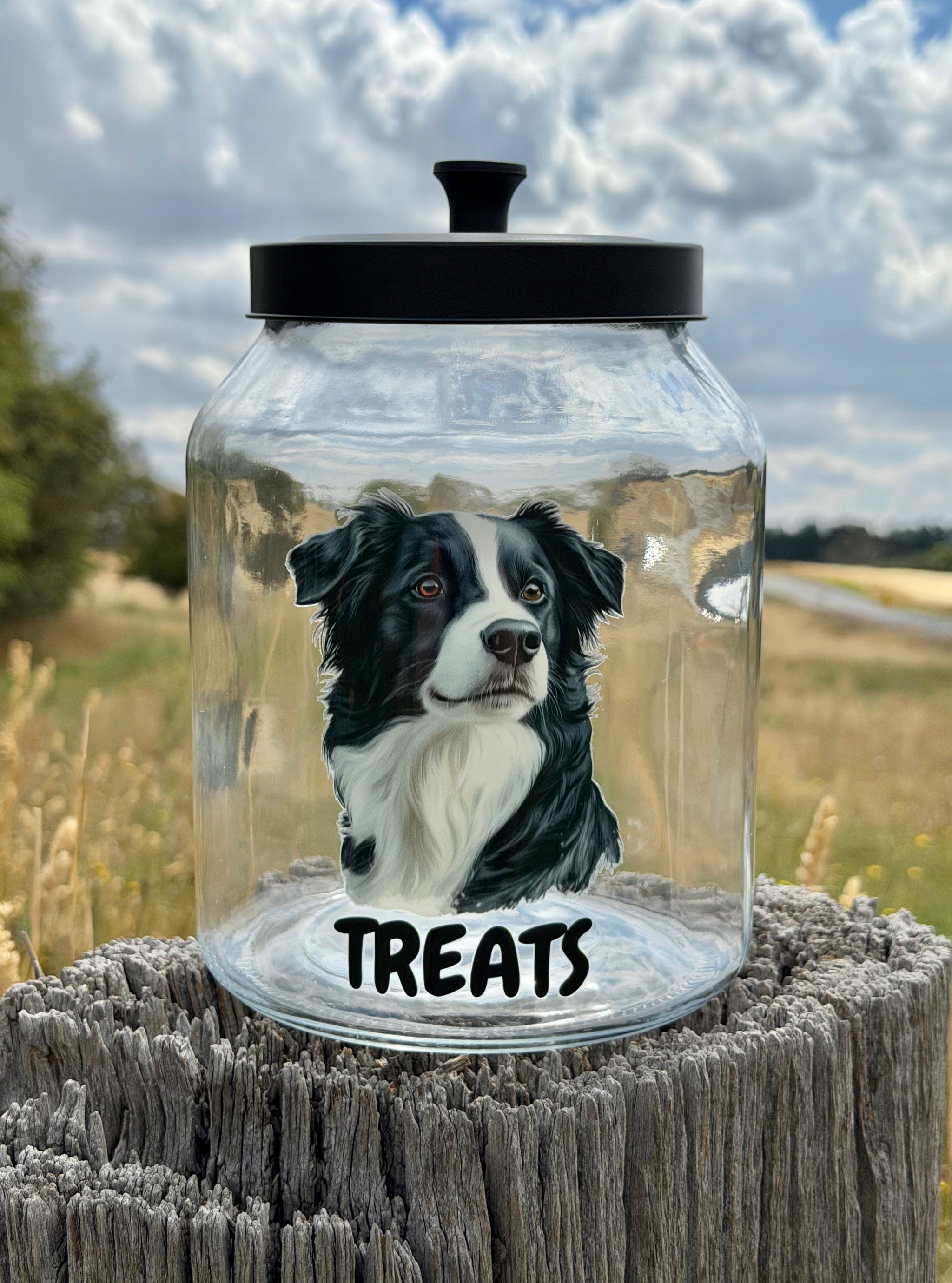 Border Collie Treat Jar