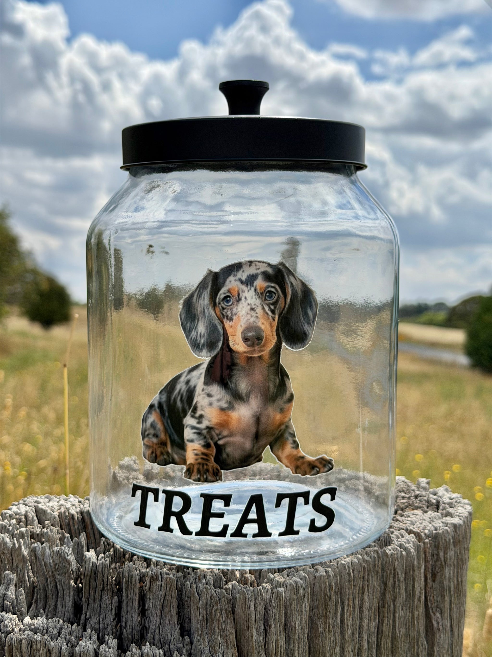 Dachshund Treat Jar