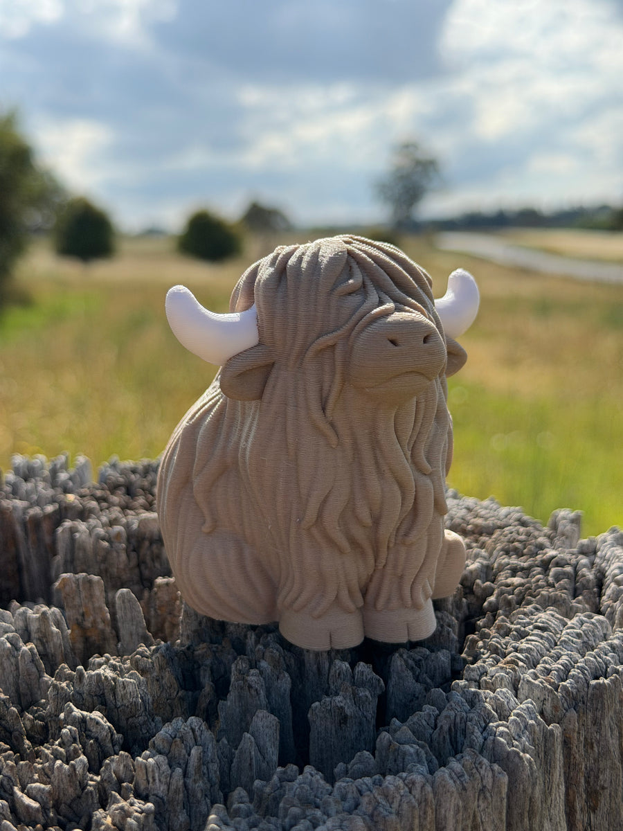 ‘Finley’ the Highland