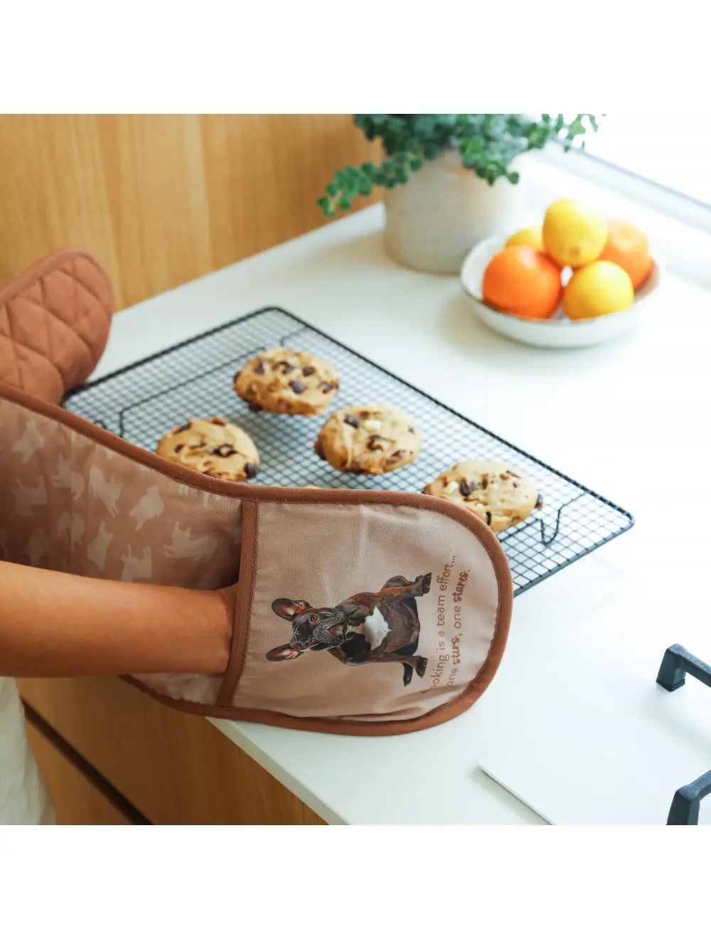 ***PRE-ORDER*** French Bulldog - Double Oven Mitts