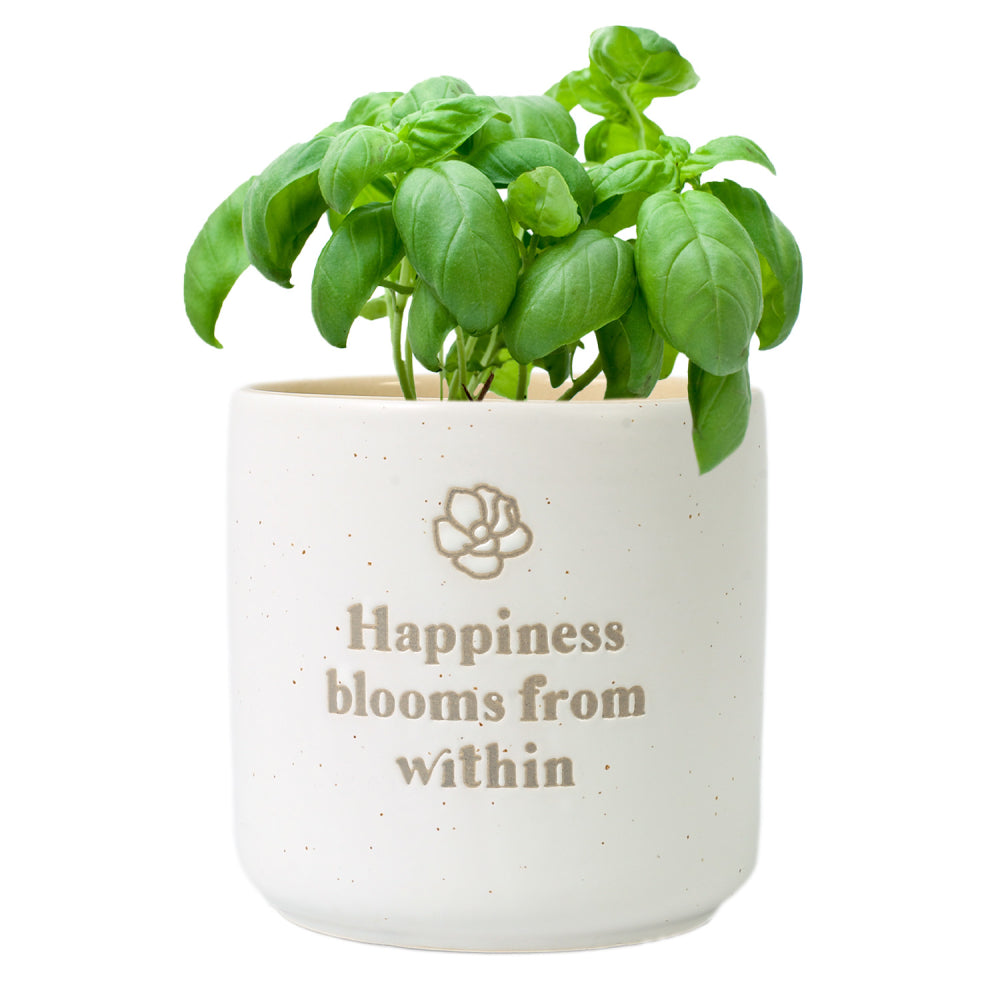 ‘Happiness’ Positive Pot