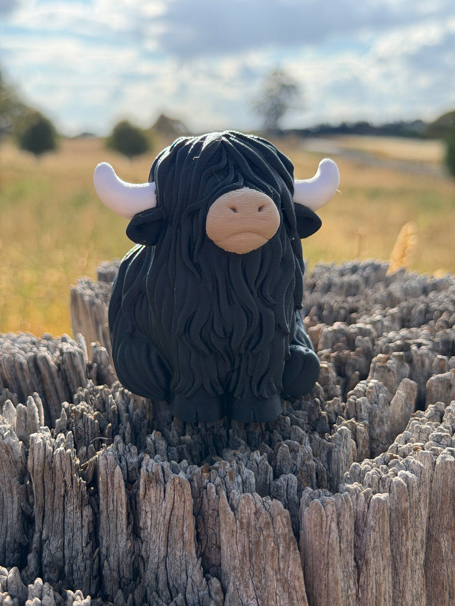 ‘Scott’ the Scottish Highland