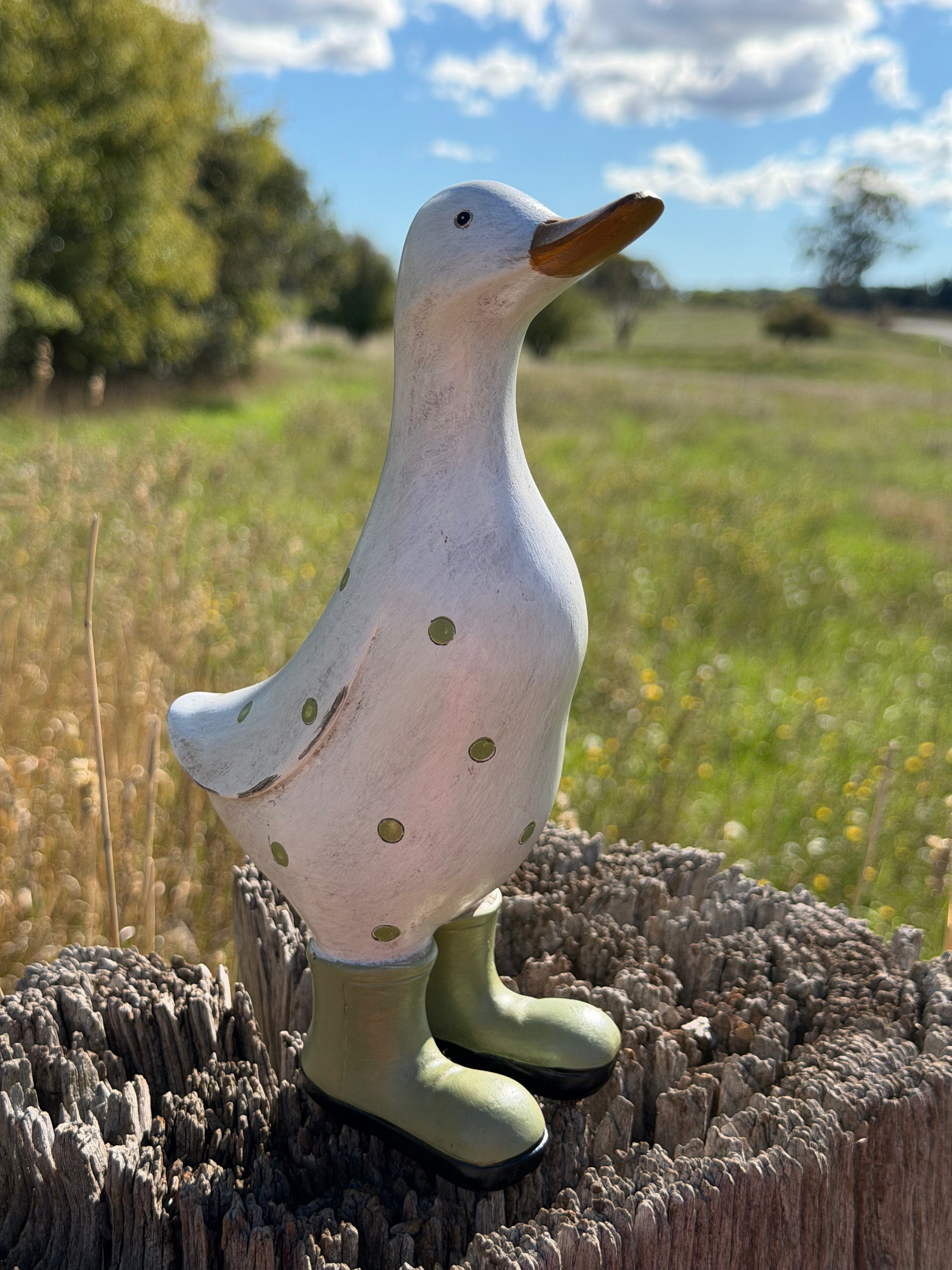 Duck in Olive Boots