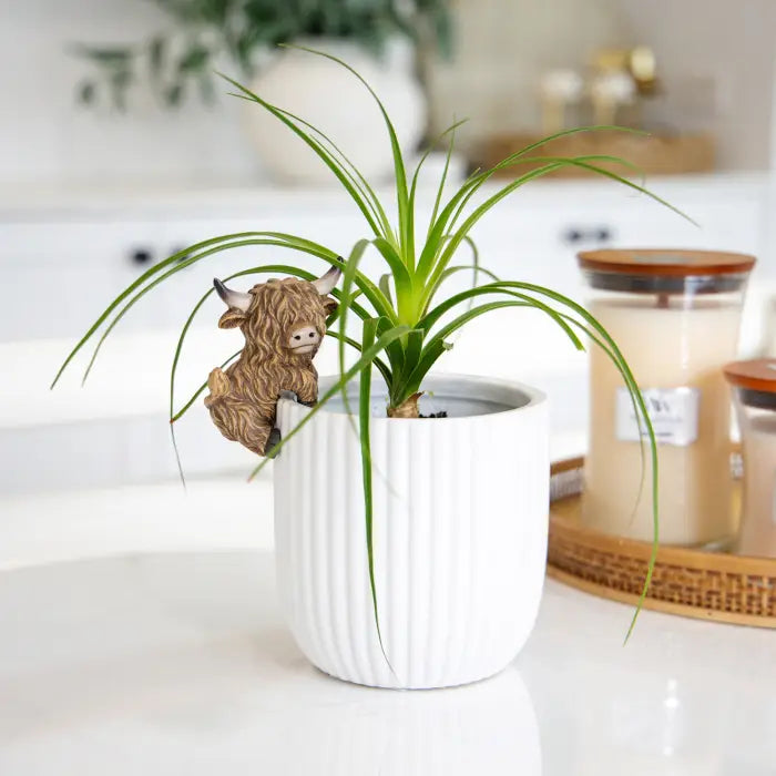 Highland Cow Pot Hangers