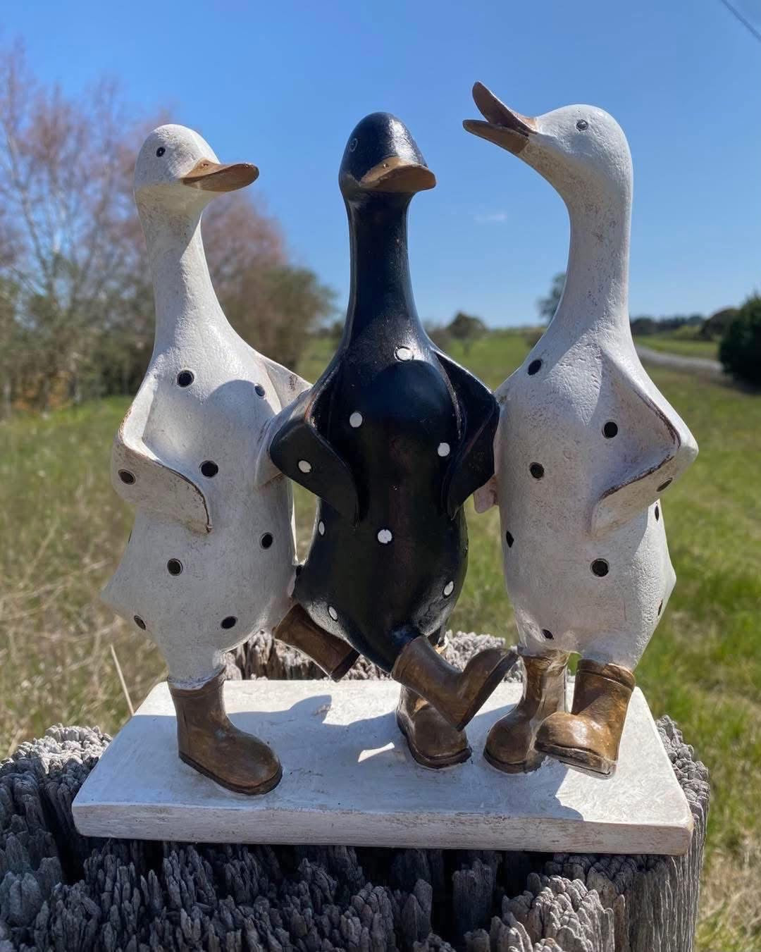 Dancing Ducks