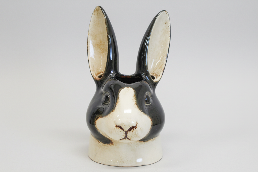 'Mr Benjamin Bunny' Planter