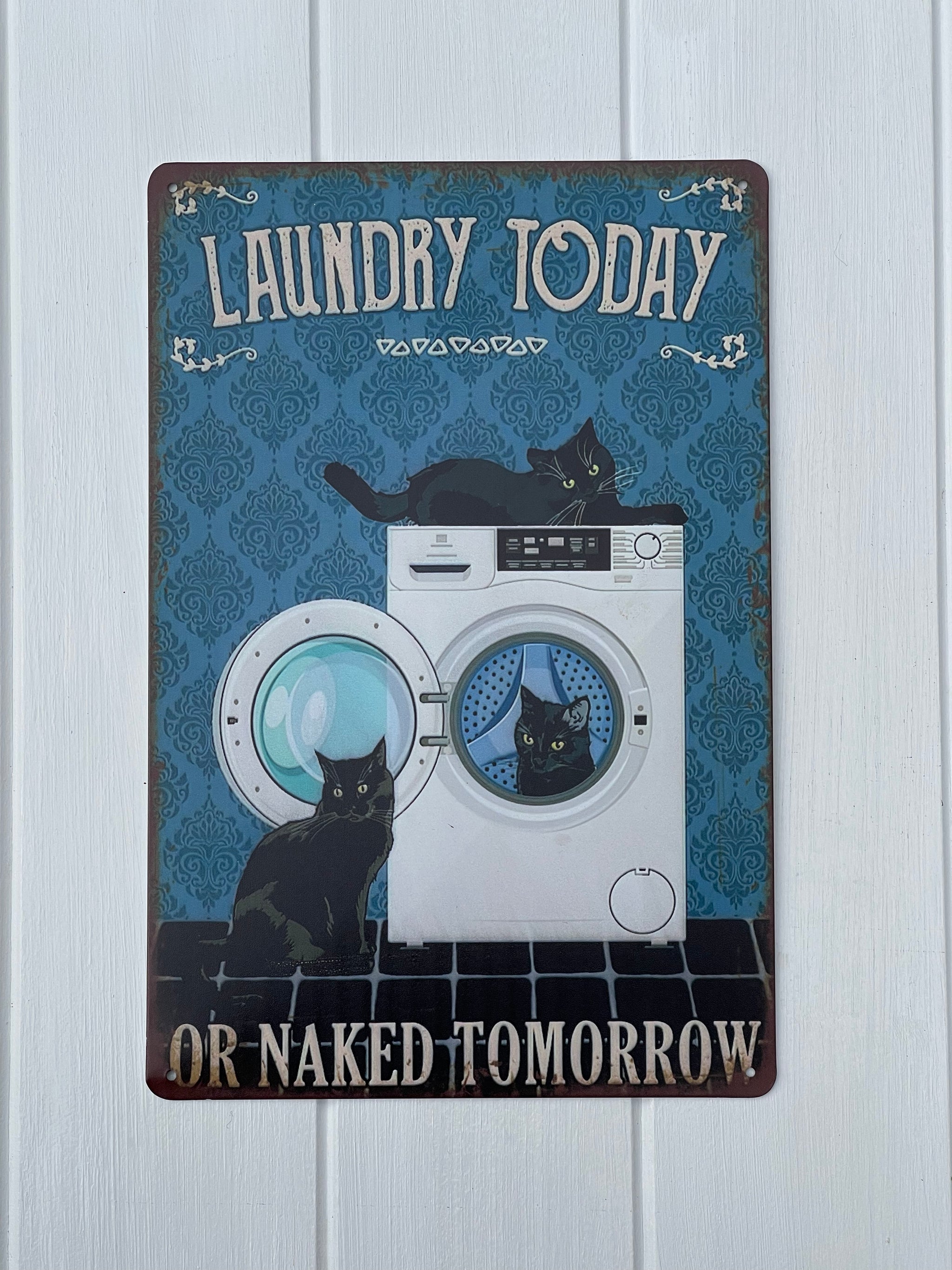 Laundry Today Or Naked Tomorrow - Cats