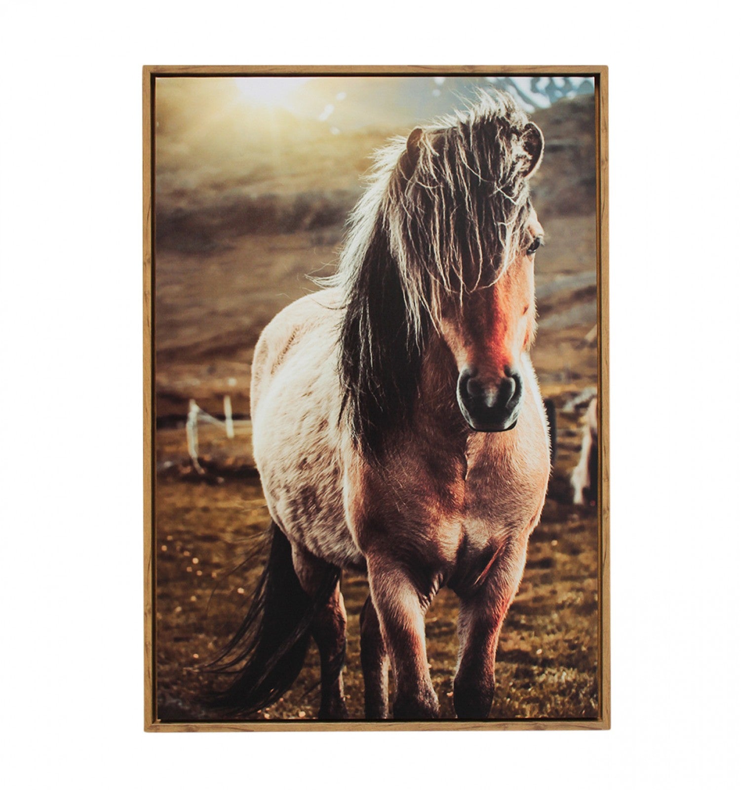 Sunset Pony Floating Canvas Print