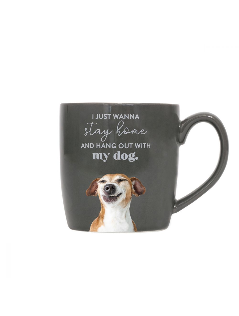 'I Just Wanna Stay Home' Pet Mug