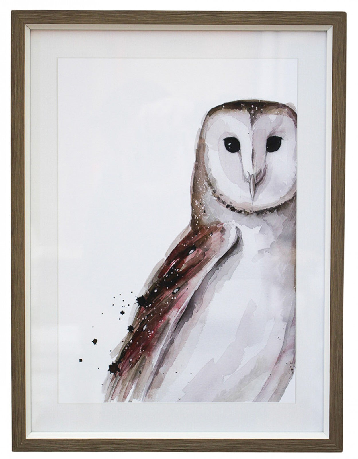 'Wise Owl' Framed Print
